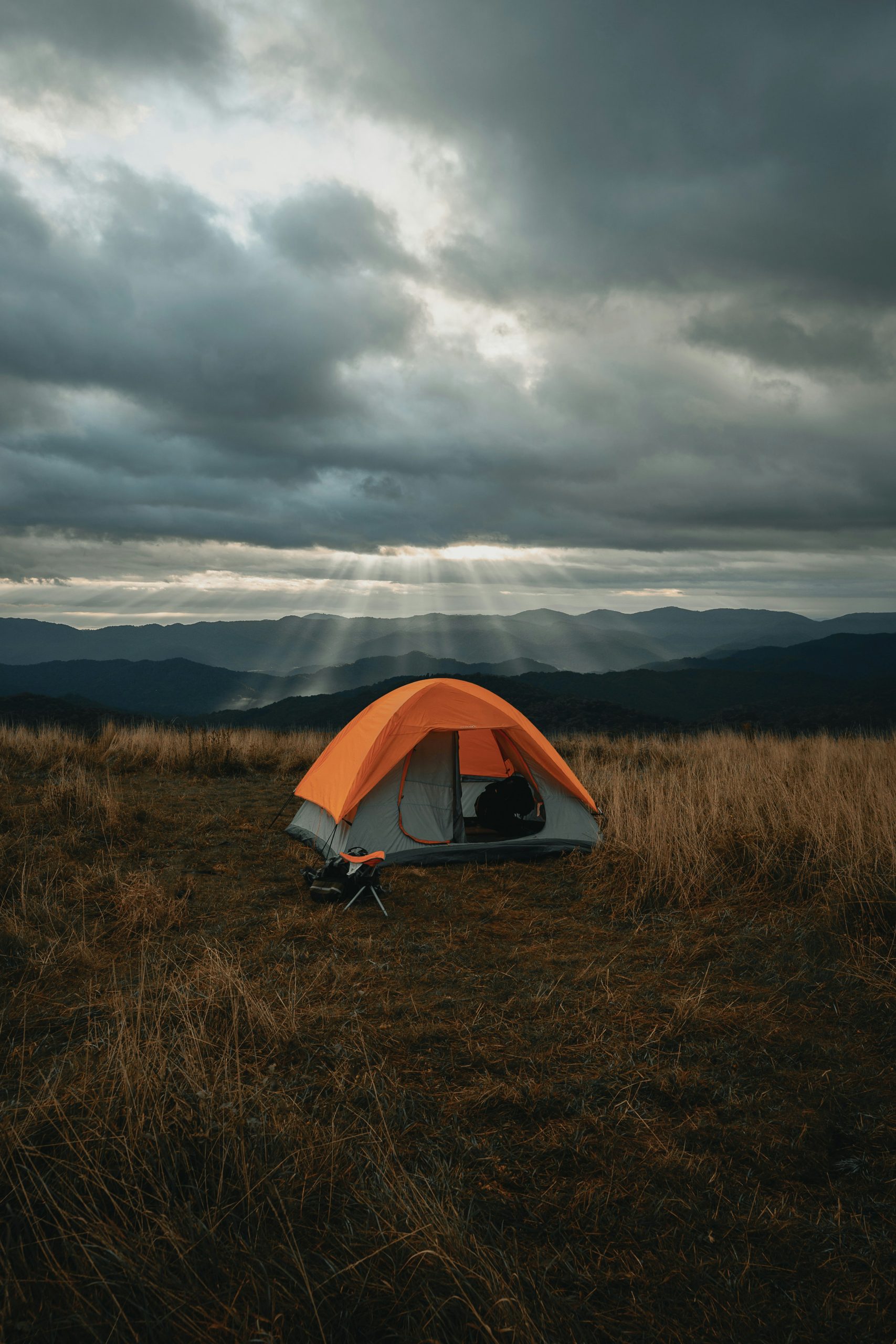 clay-banks-Ppz6b-YUDHw-unsplash